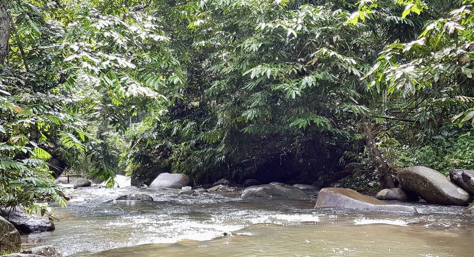 Orang Asli  Maleisië